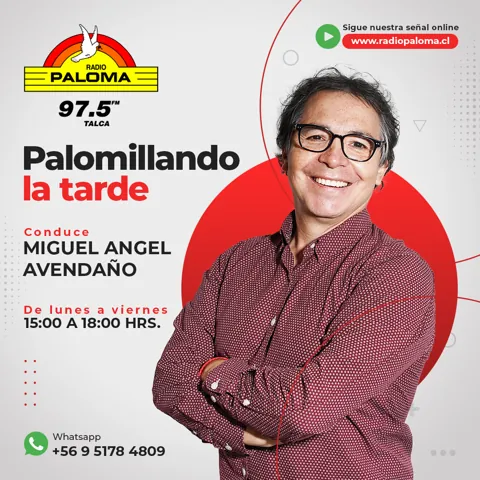 Palomillando la Tarde