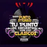Radio Punto Stereo Chile
