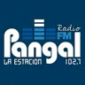 Radio Pangal