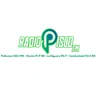Radio Pisco 100.1 FM